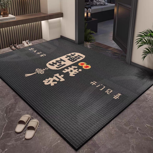 入户门地垫2025新款进门门口脚垫高端防滑耐脏玄关地毯门外蹭脚垫