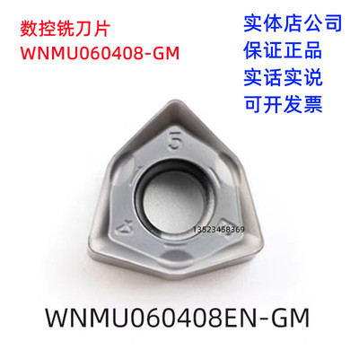 WNMU060408EN-GM钢不锈钢铸铁