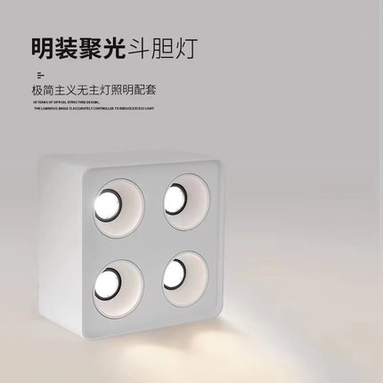 海纳灯饰客厅无主灯照明明装四头格栅斗胆射灯方形双头家用LED