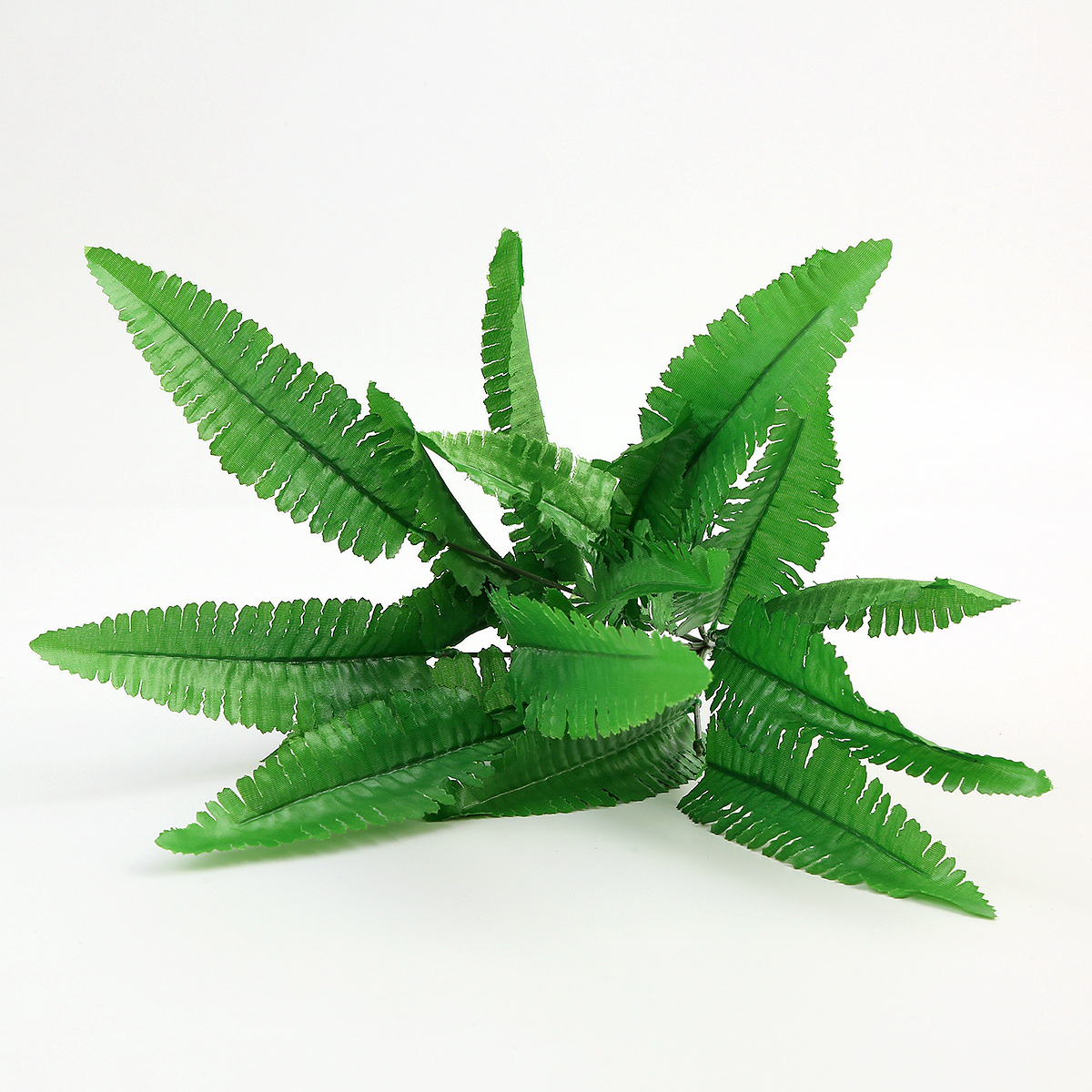婚庆装饰仿真绿植蕨类植物波斯叶