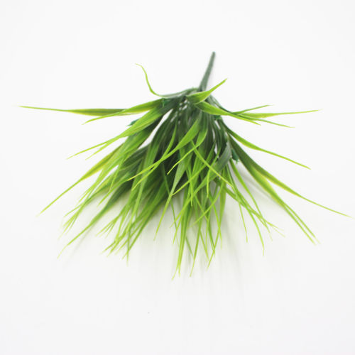 仿真植物绿植盆栽塑料假草水稻秧苗禾苗道具隔断造景装饰插花配草 - 封面
