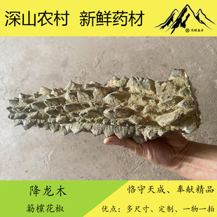 广西地道中草药簕欓花椒、降龙木，新鲜枝叶、茎杆、根  另种植苗