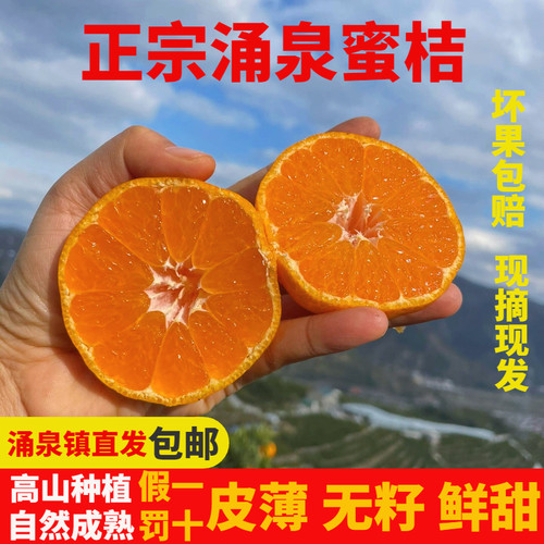 浙江涌泉蜜桔新鲜无核皮薄多汁