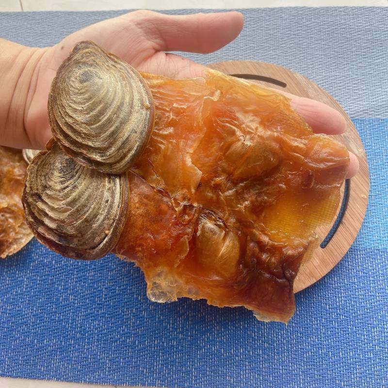 深海超大号带壳响螺片响螺肉港式煲汤材料250g螺片螺肉干货7~10片