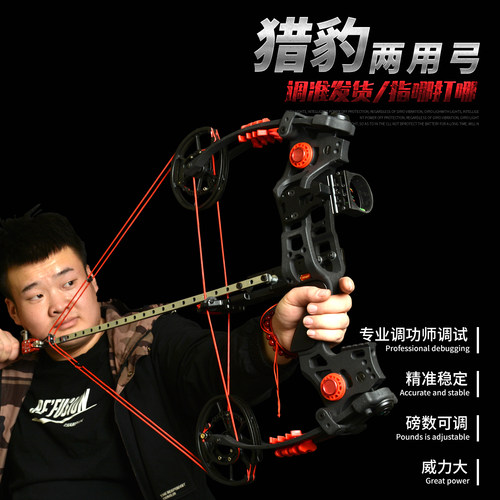 射击弓箭复合弓两用弓
