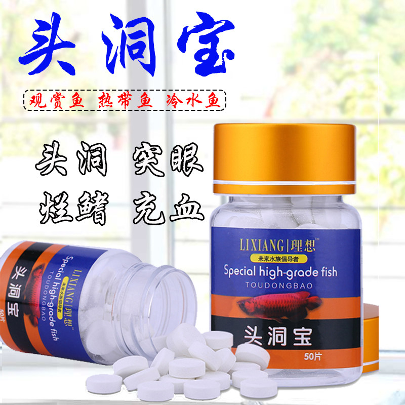 万能大白片观赏鱼罗汉内寄凸眼蒙眼头洞宝片腹水鹦鹉鱼