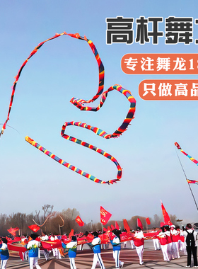高杆舞龙彩带健身龙全套耍龙道具新款广场舞成人甩龙中老年中国龙