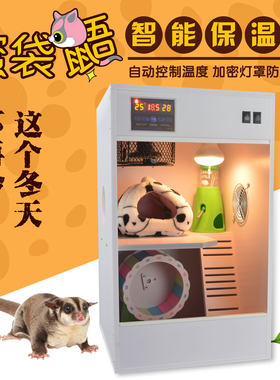 蜜袋鼯恒温箱小蜜保温箱恒温箱