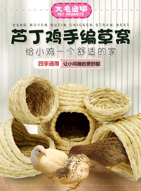 大毛宠物芦丁鸡稻草窝