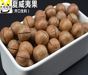 开口生夏威夷果 魔王雪地松鼠 仓鼠饲料主食  磨牙坚果 50g