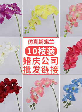 蝴蝶兰仿真花高级感婚庆绢花假花