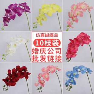 蝴蝶兰仿真花高级感逼真白色婚庆绢花婚礼布置装 10支装 饰假花摆件