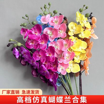 白色蝴蝶兰仿真花假花婚庆绢花婚礼布置装饰花摆件吊顶插花花艺