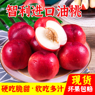 【可脆可软】正宗智利进口油桃新鲜脆甜桃子当季应季水果整箱批发