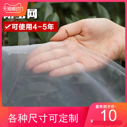 包邮结实加密白色窗纱网防虫蚊子苍蝇透气果树杨梅树防护大棚网纱