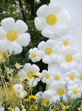 生日婚礼派对装饰小雏菊花朵气球