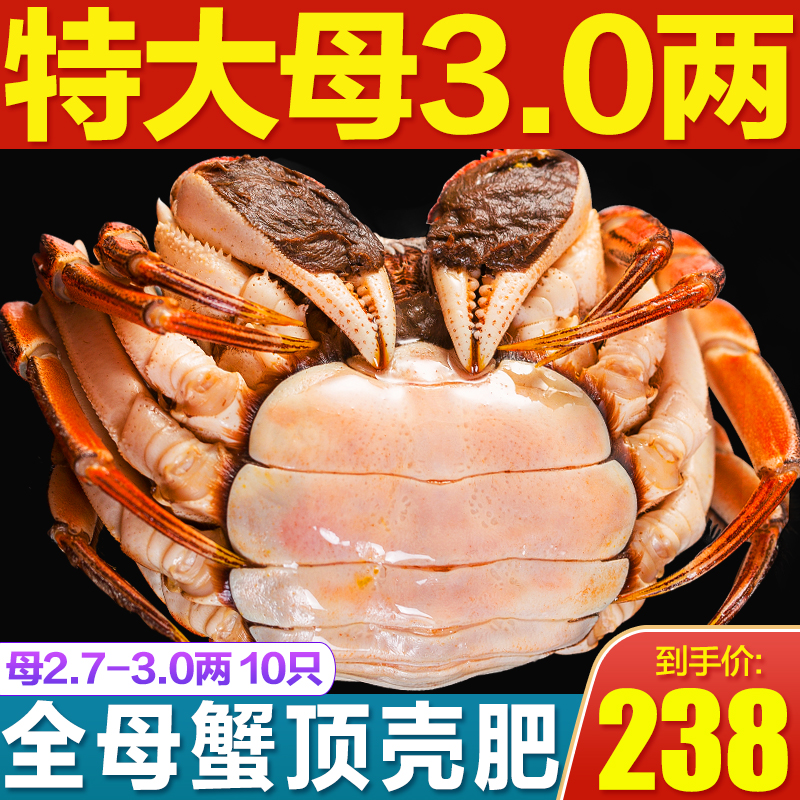 蟹大黄多 特大蟹套餐