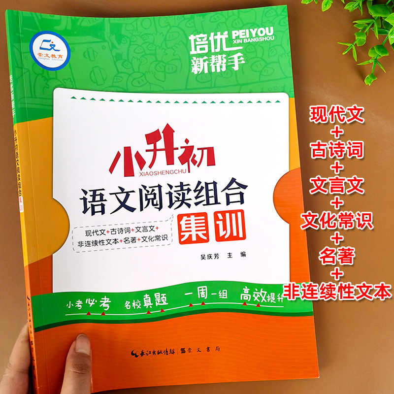 小升初语文阅读理解专项训练练习题人教版六年级阅读练习文言文组合课外阅读系统总复习强化练习题小学小学生现代文古诗文课外 书籍/杂志/报纸 小学教辅 原图主图