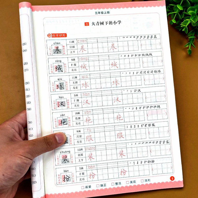 三年级上册语文字帖同步练字帖人教版小学写字课生字专项训练本天天练