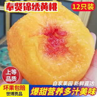 现摘正宗上海奉贤光明锦绣黄桃6-7两新鲜孕妇应季水果12只礼盒装