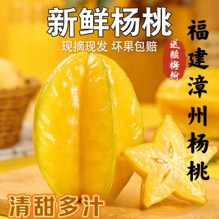 福建漳州下河甜杨桃新鲜水果当季 精品果 现摘甜脆多汁孕妇气泡包装