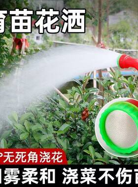 浇花浇菜育苗苗床喷头农