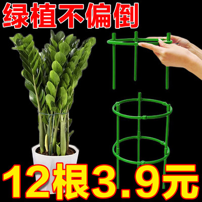 植物支撑杆园艺支架花架