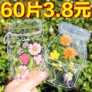 干花书签植物标本塑封膜秋天收集枫叶手工diy材料透明树叶粘贴画