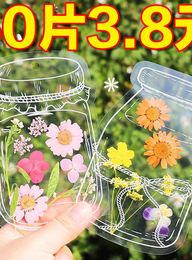 干花书签植物标本塑封膜秋天收集枫叶手工diy材料透明树叶粘贴画