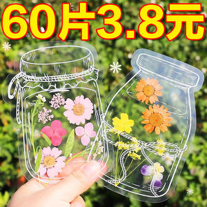 干花书签植物标本塑封膜秋天收集枫叶手工diy材料透明树叶粘贴画