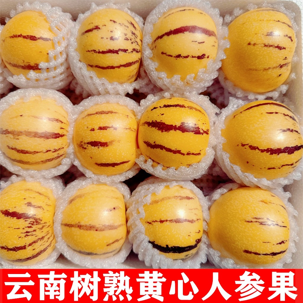 [盛果邻]  云南石林风化石人参果水果路花村黄心肉树上熟特大果 - 实物图