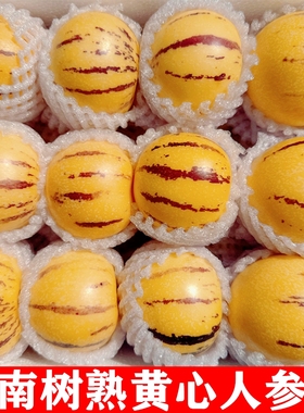 【盛果邻】云南石林人参果树上熟圆果皮薄多汁新鲜精选大果5/8斤