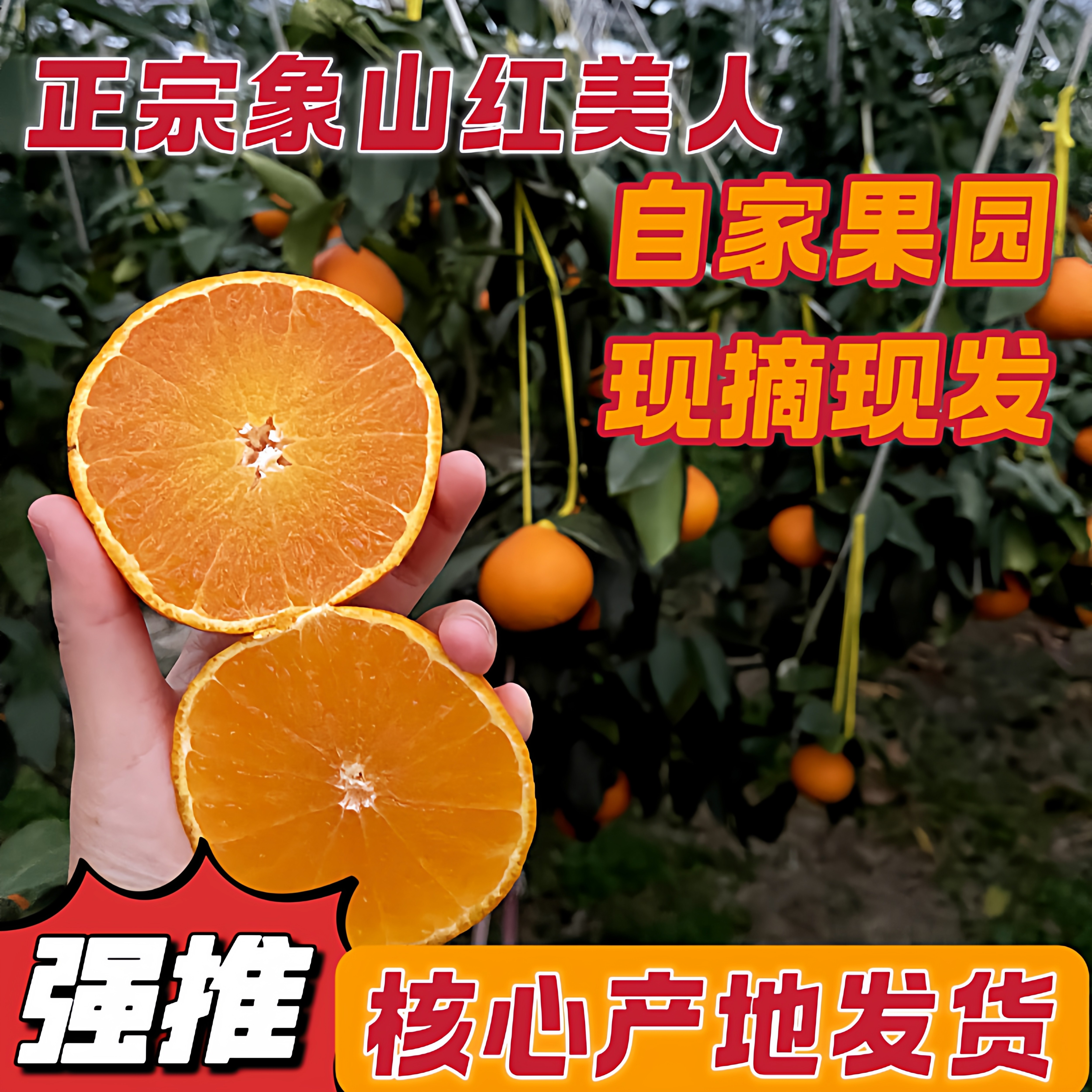 正宗象山红美人柑橘子爱媛28号果冻橙蜜桔子送礼盒装包邮红柑橘,水产肉类/新鲜蔬果/熟食,桔子,淘宝优惠券,粉丝福利购,淘宝优惠卷