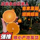 正宗象山红美人柑橘子爱媛28号果冻橙蜜桔子送礼盒装 红柑橘 包邮