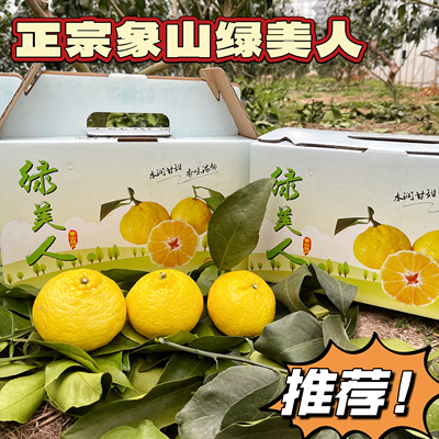 正宗宁波象山绿美人媛小春柑橘清甜爽口礼盒送礼包邮