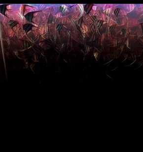 圣菲利佩埃及神仙鱼哥伦比亚埃及阿塔巴布埃及尼格罗埃及