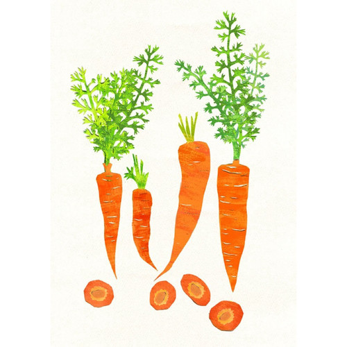 各类真丝羊毛羊绒丝巾围巾披肩