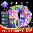 跨境智能点控LED灯饰RGB幻彩皮线灯星星灯串装 饰氛围灯仙女串串灯
