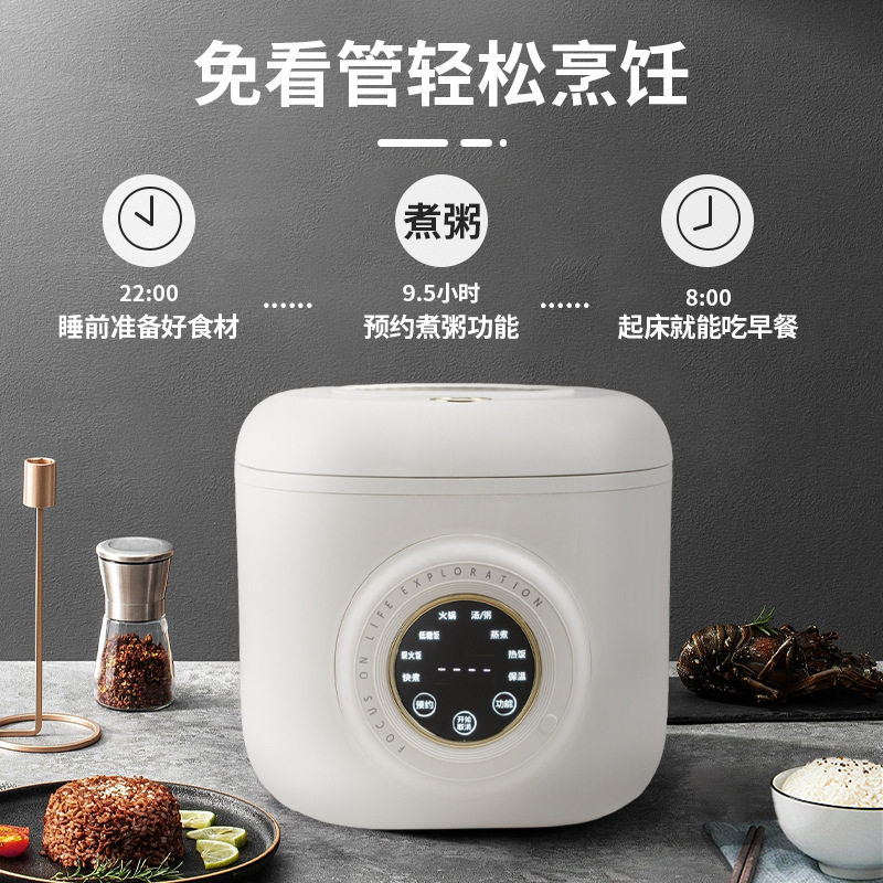 110-220v迷你电饭煲2人小型上蒸下煮电饭锅3-4人预约功能微电脑式