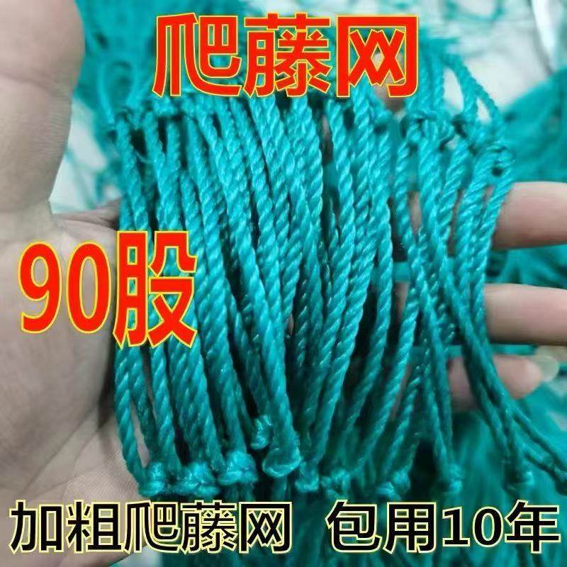 植物爬藤网百香果豆角黄瓜月季