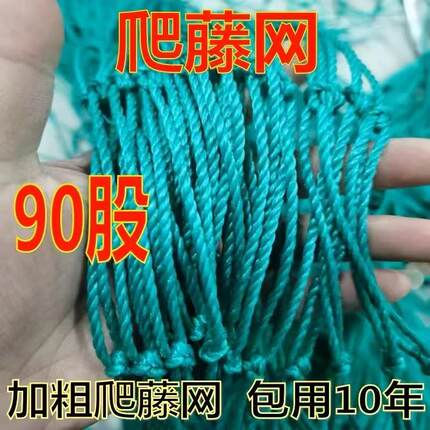 植物爬藤网百香果豆角黄瓜月季吊瓜丝瓜苦瓜葡萄种植网攀爬搭架网