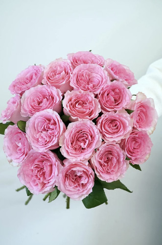 云南鲜花玫瑰基地直发洛神爱莎水培鲜切花家用爱莎洛神花束