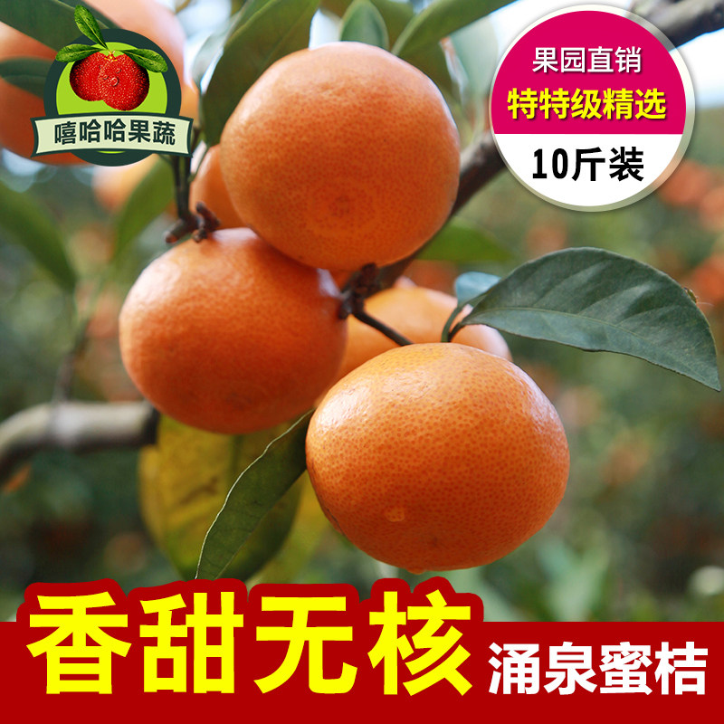正宗临海涌泉蜜桔超甜无核宫川蜜橘浙江黄岩新鲜桔子10斤礼盒包邮