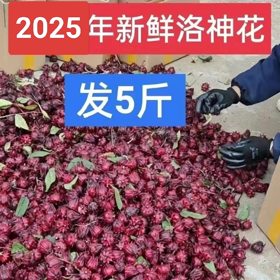 5斤红桃K新鲜洛神花现摘红色玫瑰茄烙神果蔬果泡酒酵素果酱蜜饯