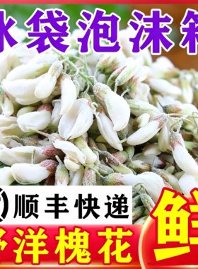 26年冷冻槐花洋槐花野菜生杨槐花洋槐花骨朵花苞刺槐花包包子饺子