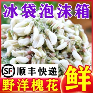 26年冷冻槐花洋槐花野菜生杨槐花洋槐花骨朵花苞刺槐花包包子饺子