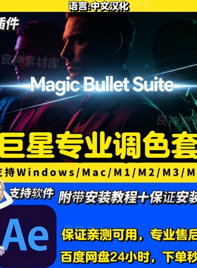 红巨星调色磨皮套装 AE插件中文2023/2024/2025支持达芬奇/pr插件