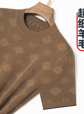 恒澳春秋羊毛衫男100纯精纺半袖针织衫短袖套头毛衣中年圆领体恤