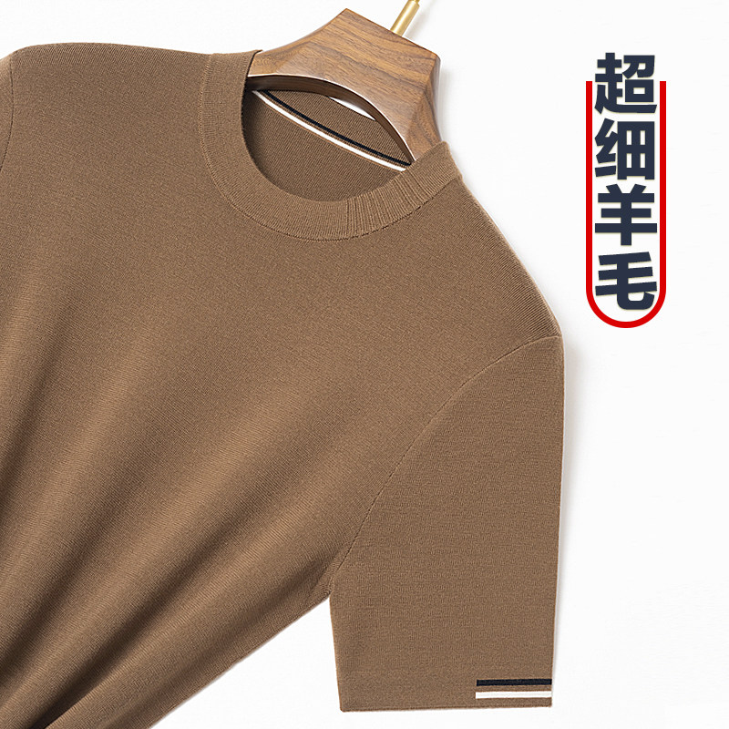 冬季半袖羊毛衫男100纯精纺圆领针织衫半袖套头T恤短袖中年毛衣