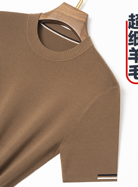 冬季半袖羊毛衫男100纯精纺圆领针织衫半袖套头T恤短袖中年毛衣